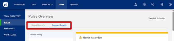 Team - Pulse Overview (Account Details) (1.12.26) (OvRating+NeedsAttn) (DReport vs Acct Details tabs)